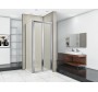 Душевой уголок Good Door Infinity SD+SP-G-CH 100x90