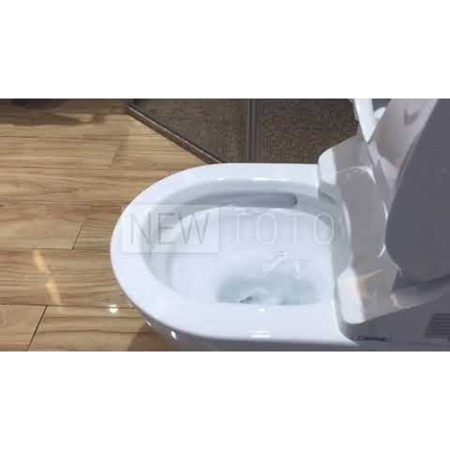 Унитаз-биде подвесной TOTO MH Washlet GL 2.0 (CW162Y+TCF6532G), 325000  цена, купить в Санкт-Петербурге